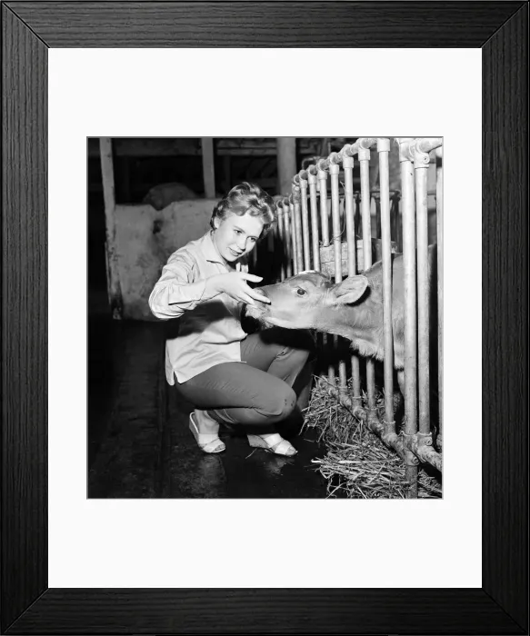 Framed Print : Actress Juliet Mills has been brought up on her fathers farm on the Kent  /  Sussex border