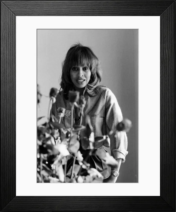 Framed Print : American singer Tina Turner in London at the start of her European tour. 12th March 1979 Framed Print : American singer Tina Turner in London at the start of her European tour. 12th March 1979