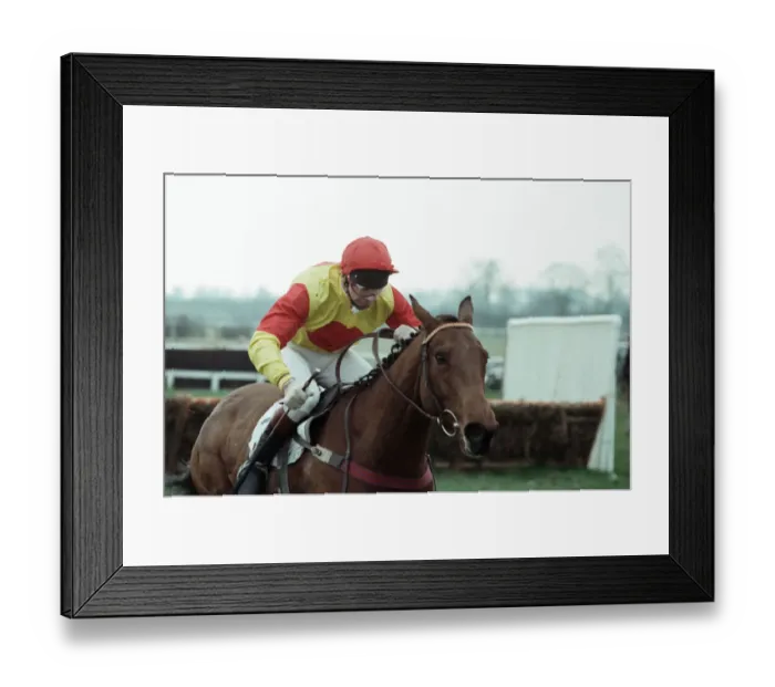 Framed Print : Jockey Peter Scudamore riding his 150th winner of the season at Warwick Framed Print : Jockey Peter Scudamore riding his 150th winner of the season at Warwick