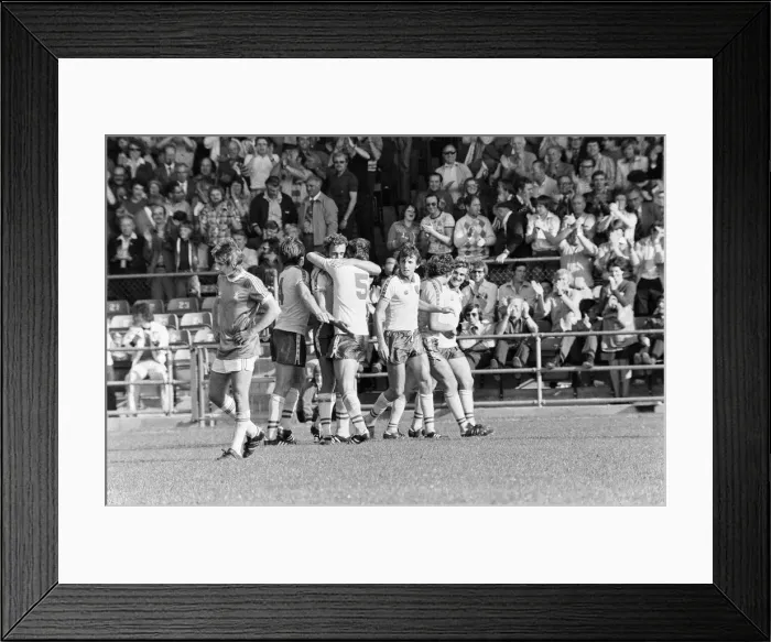 Framed Print : English League Division One match at Carrow Road. Norwich City 4 - 0 Birmingham City