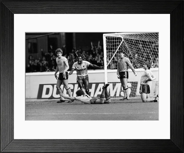 Framed Print : Watford v Sunderland, final score 8-0 to Watford, League Division One