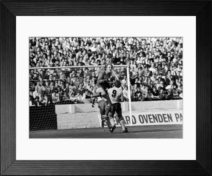 Framed Print : Watford v Sunderland, final score 8-0 to Watford, League Division One