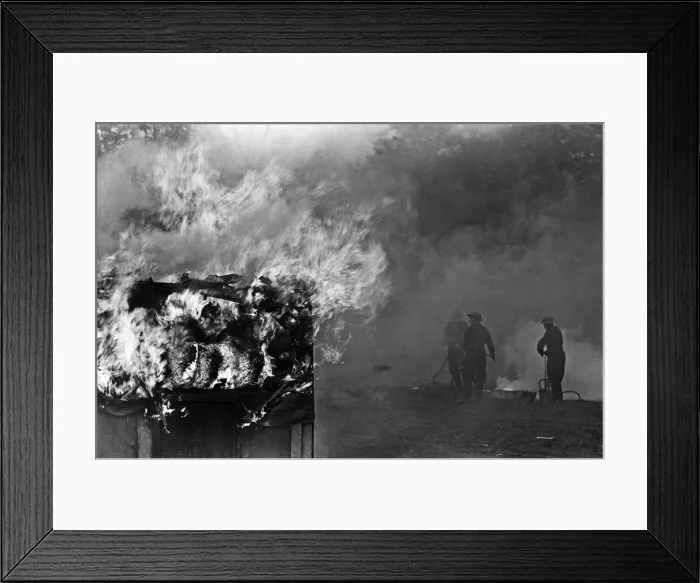 Framed Print : Members of the Auxiliary Fire Service seen here during a demonstration of civil defence Framed Print : Members of the Auxiliary Fire Service seen here during a demonstration of civil defence