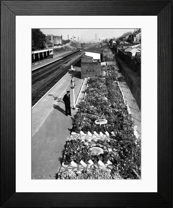 Framed Print : The gardens at Foleshill Station, Coventry. 9th October 1959 Framed Print : The gardens at Foleshill Station, Coventry. 9th October 1959