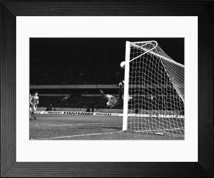 Framed Print : FA Cup Quarter-final replay held at the Molineux Stadium Framed Print : FA Cup Quarter-final replay held at the Molineux Stadium
