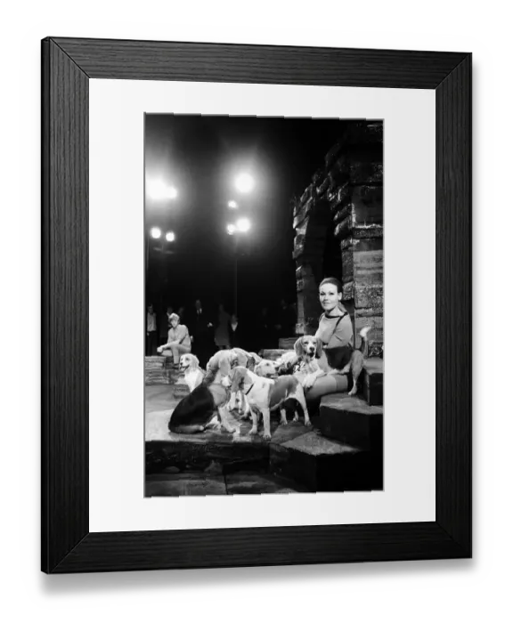 Framed Print : A Midsummer Nights Dream, pictured Cleo Laine. 26th September 1967 Framed Print : A Midsummer Nights Dream, pictured Cleo Laine. 26th September 1967