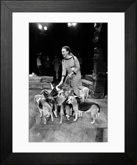 Framed Print : A Midsummer Nights Dream, pictured Cleo Laine. 26th September 1967 Framed Print : A Midsummer Nights Dream, pictured Cleo Laine. 26th September 1967