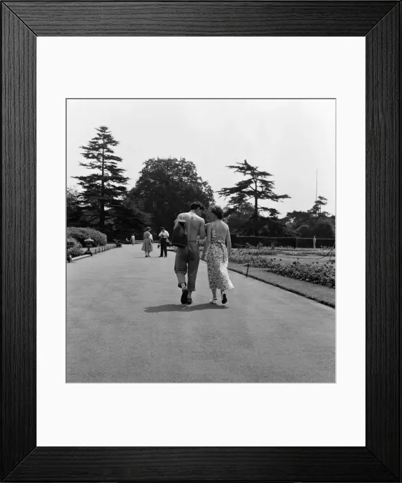 Framed Print : Horticultural students working at the Royal Botanical Gardens, Kew. 18th June 1957 Framed Print : Horticultural students working at the Royal Botanical Gardens, Kew. 18th June 1957