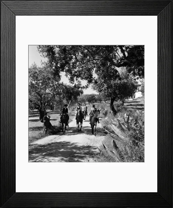Framed Print : Princess Margaret visits Portugal. The Princess riding through the groves of Count Nova Framed Print : Princess Margaret visits Portugal. The Princess riding through the groves of Count Nova