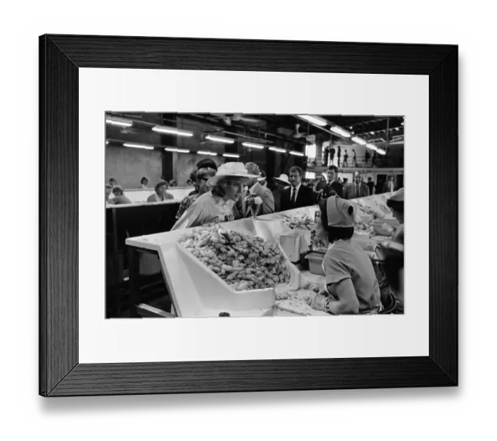 Framed Print : Diana, Princess of Wales visits Yandina Ginger Factory in Queensland. 12th April 1983 Framed Print : Diana, Princess of Wales visits Yandina Ginger Factory in Queensland. 12th April 1983