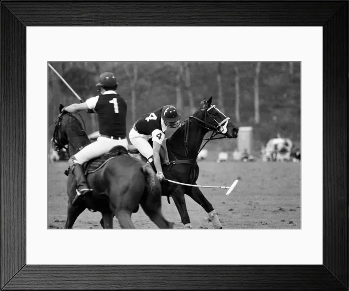 Framed Print : Charles, Prince of Wales playing polo during his visit to Auckland, New Zealand Framed Print : Charles, Prince of Wales playing polo during his visit to Auckland, New Zealand