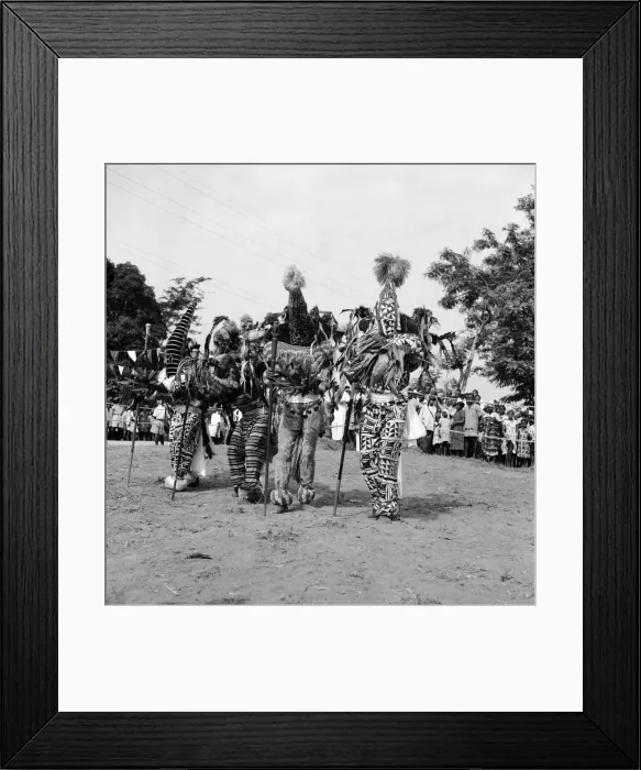 Framed Print : A group of Nigerian dancers who are performing in traditional costume for Queen Elizabeth Framed Print : A group of Nigerian dancers who are performing in traditional costume for Queen Elizabeth