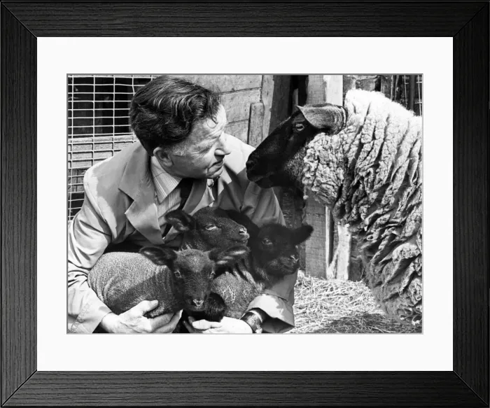 Framed Print : Newham Grange Leisure Farm, Coulby Newham, Middlesbrough, North Yorkshire
