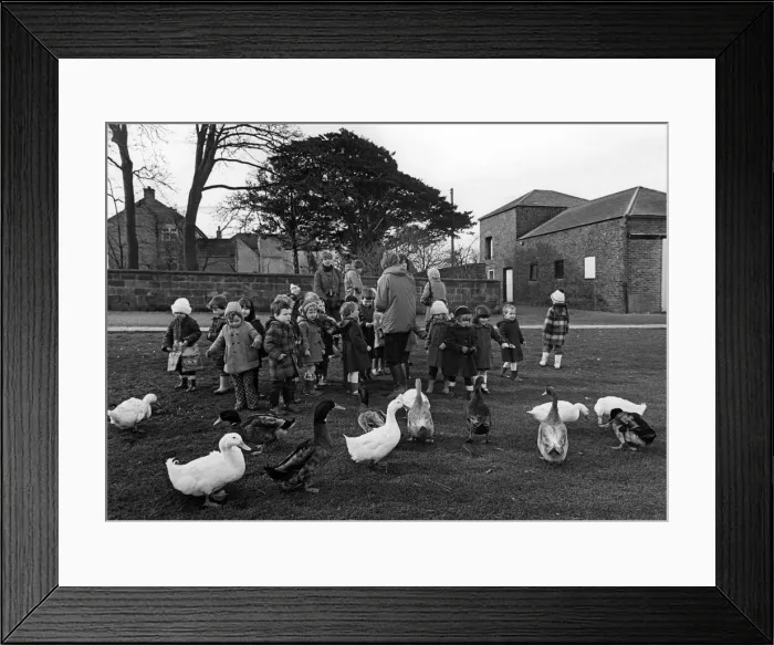 Framed Print : Newham Grange Leisure Farm, Coulby Newham, Middlesbrough, North Yorkshire. 1982 Framed Print : Newham Grange Leisure Farm, Coulby Newham, Middlesbrough, North Yorkshire. 1982