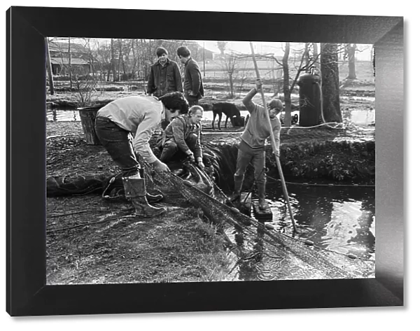 Sam Holland (centre) and trout famers breeding trout. 13th February 1976