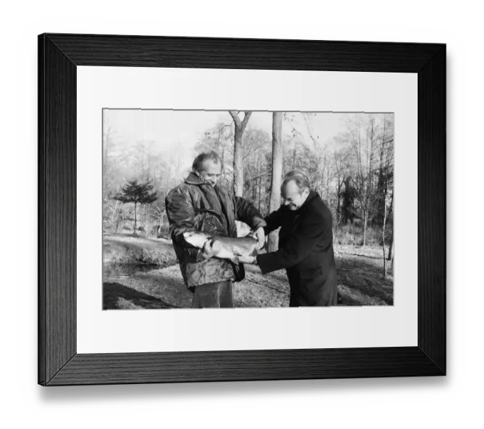 Framed Print : Sam Holland (left), trout farmer with James Pettigrew, hold some of the outsize trout