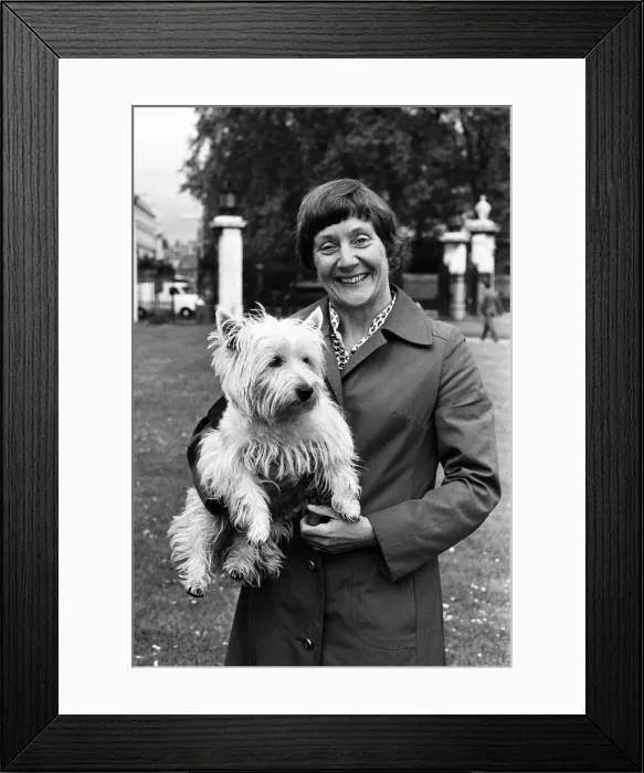 Framed Print : Labour MP Shirley Williams walking her dog. 7th June 1979 Framed Print : Labour MP Shirley Williams walking her dog. 7th June 1979