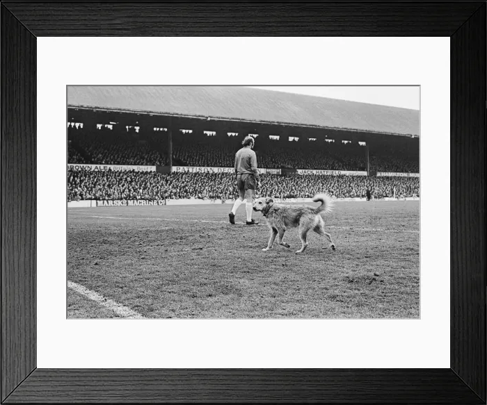 Framed Print : Middlesbrough v Sheffield Wednesday, Old Division League two match at Ayresome Park Framed Print : Middlesbrough v Sheffield Wednesday, Old Division League two match at Ayresome Park