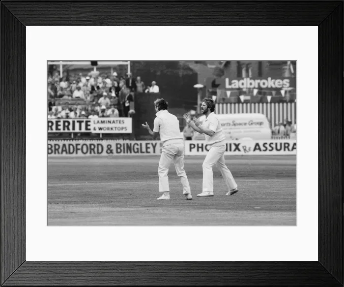 Framed Print : The Ashes. England v Australia 4th Test match at Edgbaston, Birmingham. England
