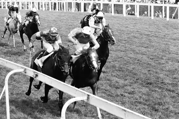 King George VI and Queen Elizabeth Stakes, Ascot, Saturday 23rd July 1977