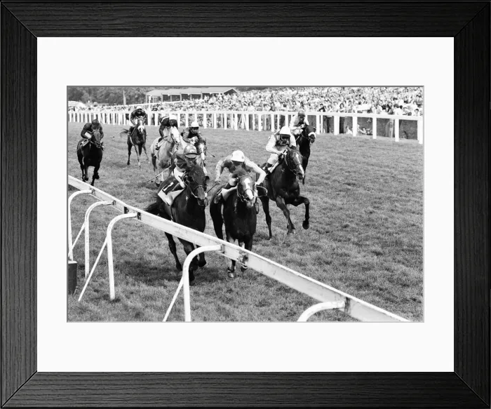 Framed Print : King George VI and Queen Elizabeth Stakes, Ascot, Saturday 23rd July 1977