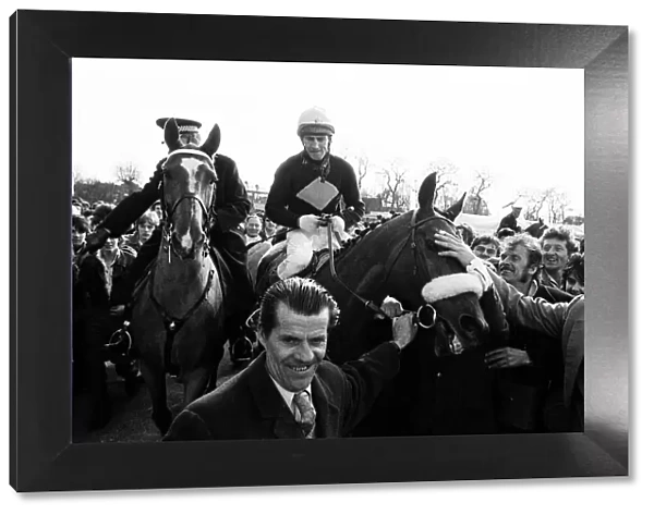 Red Rum after winning the 1977 Grand National with Jockey Tommy Stack. 2nd April 1977