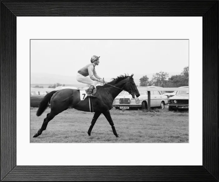 Framed Print : Lester Piggott at Goodwood, Tuesday 27th September 1977. Our Picture Shows Framed Print : Lester Piggott at Goodwood, Tuesday 27th September 1977. Our Picture Shows