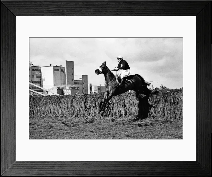 Framed Print : Red Rum winning the 1977 Grand National with Jockey Tommy Stack. 2nd April 1977 Framed Print : Red Rum winning the 1977 Grand National with Jockey Tommy Stack. 2nd April 1977