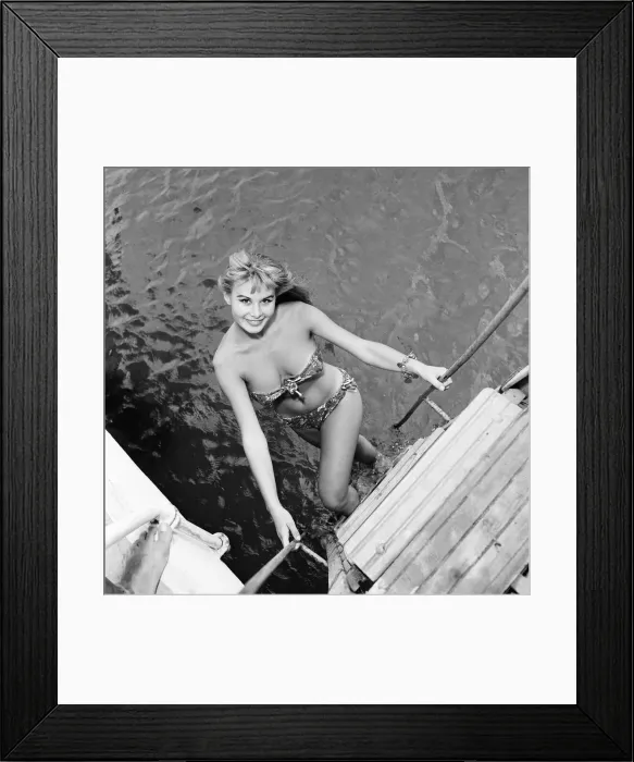 Framed Print : 1956 Venice Film Festival, Italy, Monday 3rd September 1956 Framed Print : 1956 Venice Film Festival, Italy, Monday 3rd September 1956