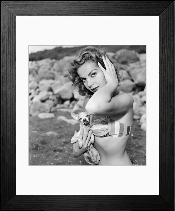 Framed Print : 1956 Venice Film Festival, Italy, Monday 3rd September 1956 Framed Print : 1956 Venice Film Festival, Italy, Monday 3rd September 1956
