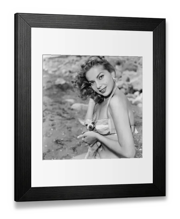 Framed Print : 1956 Venice Film Festival, Italy, Monday 3rd September 1956 Framed Print : 1956 Venice Film Festival, Italy, Monday 3rd September 1956