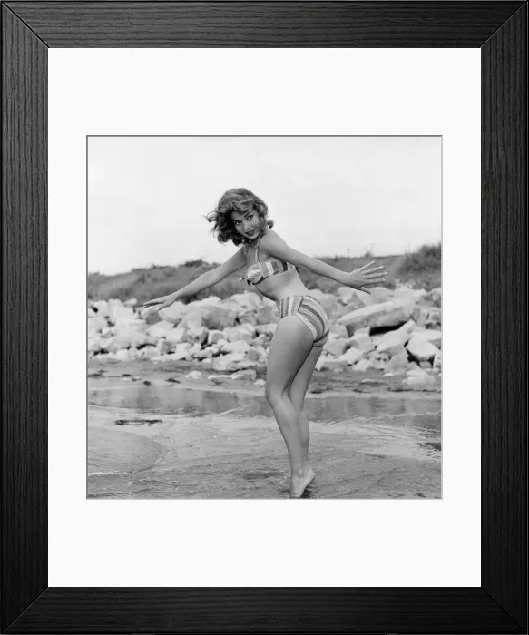 Framed Print : 1956 Venice Film Festival, Italy, Monday 3rd September 1956 Framed Print : 1956 Venice Film Festival, Italy, Monday 3rd September 1956
