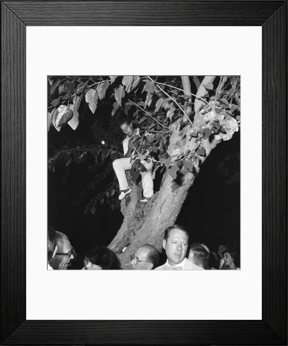 Framed Print : 1956 Venice Film Festival, Italy, Sunday 2nd September 1956 Framed Print : 1956 Venice Film Festival, Italy, Sunday 2nd September 1956