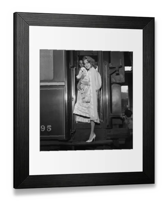 Framed Print : 1956 Venice Film Festival, Italy, Monday 3rd September 1956 Framed Print : 1956 Venice Film Festival, Italy, Monday 3rd September 1956