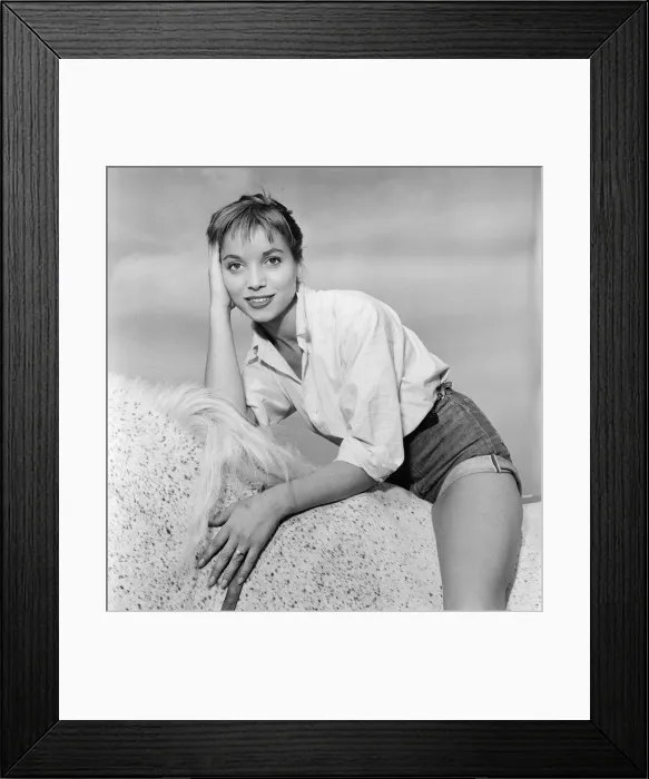Framed Print : 1956 Venice Film Festival, Friday 31st August 1956. Our Picture Shows Framed Print : 1956 Venice Film Festival, Friday 31st August 1956. Our Picture Shows