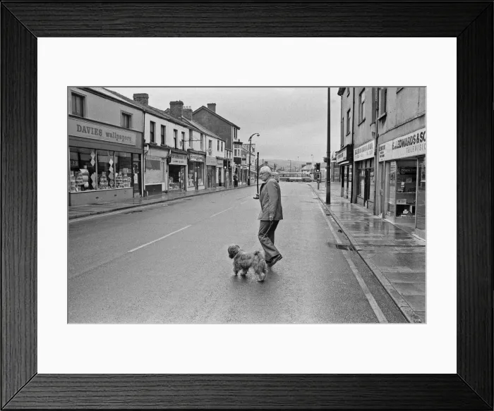 Framed Print : Labour Party Leader Michael Foot walks his dog Dizzie in Tredegar, Gwent