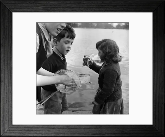Framed Print : Children fishing in Kensington Gardens pond, London. 25th April 1955 Framed Print : Children fishing in Kensington Gardens pond, London. 25th April 1955