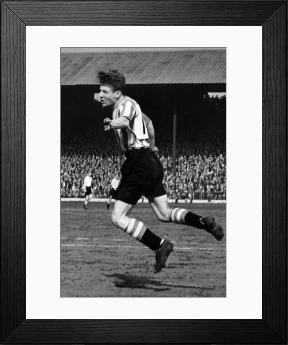 Framed Print : Sheffield Uniteds Colin Grainger in action. 30th April 1956 Framed Print : Sheffield Uniteds Colin Grainger in action. 30th April 1956