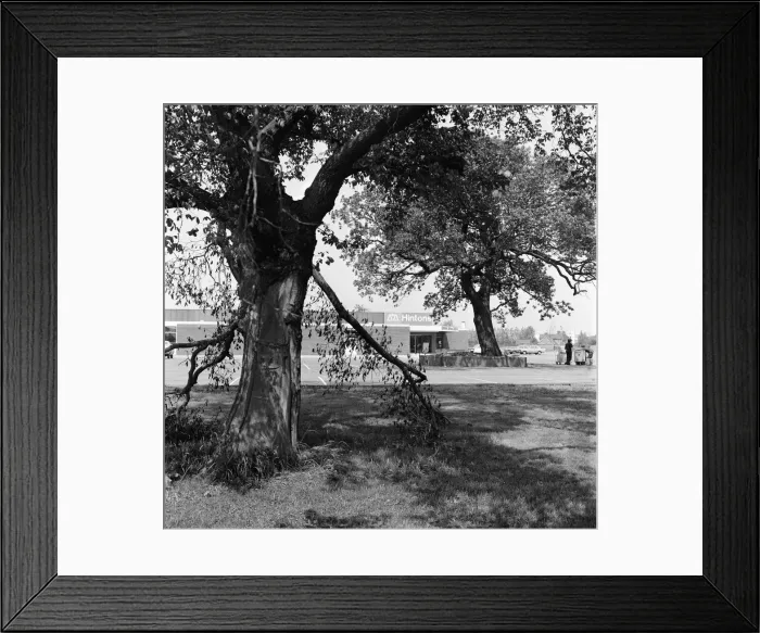 Framed Print : Hintons Supermarket, Whitehouse Farm, Bishopton Road, Stockton-on-Tees, Circa 1972 Framed Print : Hintons Supermarket, Whitehouse Farm, Bishopton Road, Stockton-on-Tees, Circa 1972