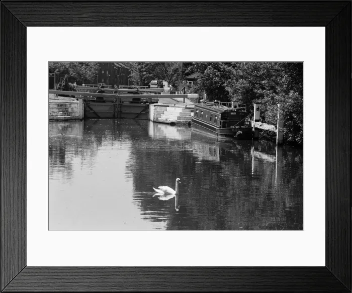 Framed Print : The River Kennet, Reading, Berkshire. 12th June 1992 Framed Print : The River Kennet, Reading, Berkshire. 12th June 1992