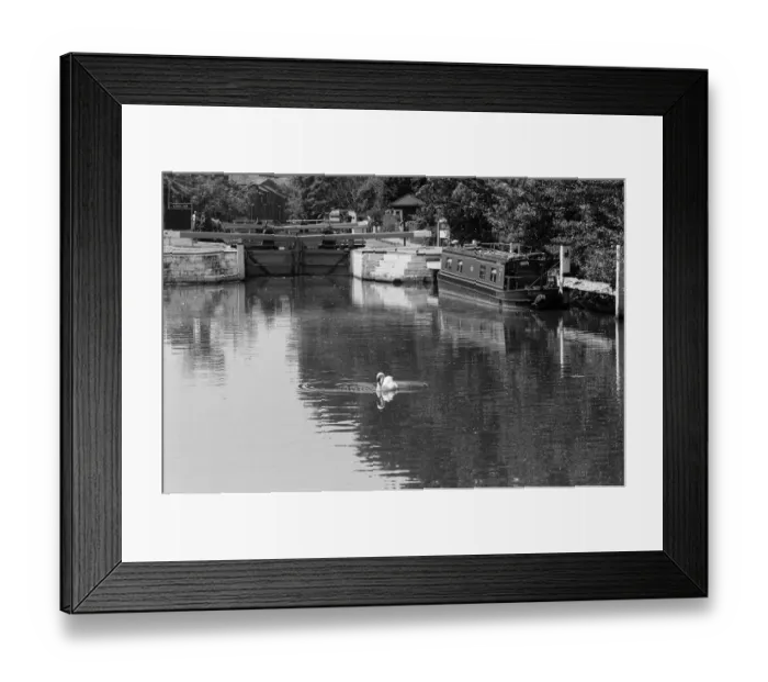Framed Print : The River Kennet, Reading, Berkshire. 12th June 1992 Framed Print : The River Kennet, Reading, Berkshire. 12th June 1992