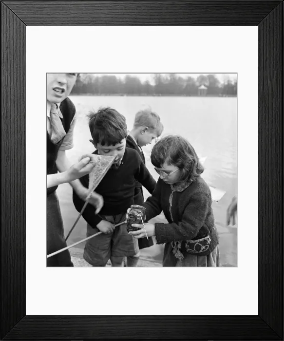 Framed Print : Children fishing in Kensington Gardens pond, London. 25th April 1955