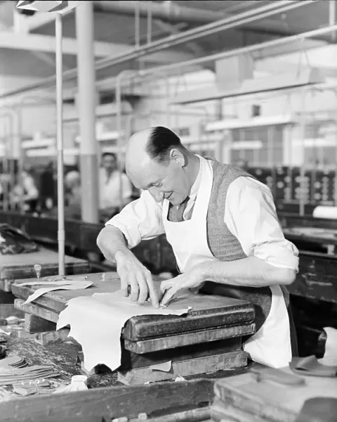 A worker at the Mansfield shoe factory in Northampton, cutting out a leather shoe upper
