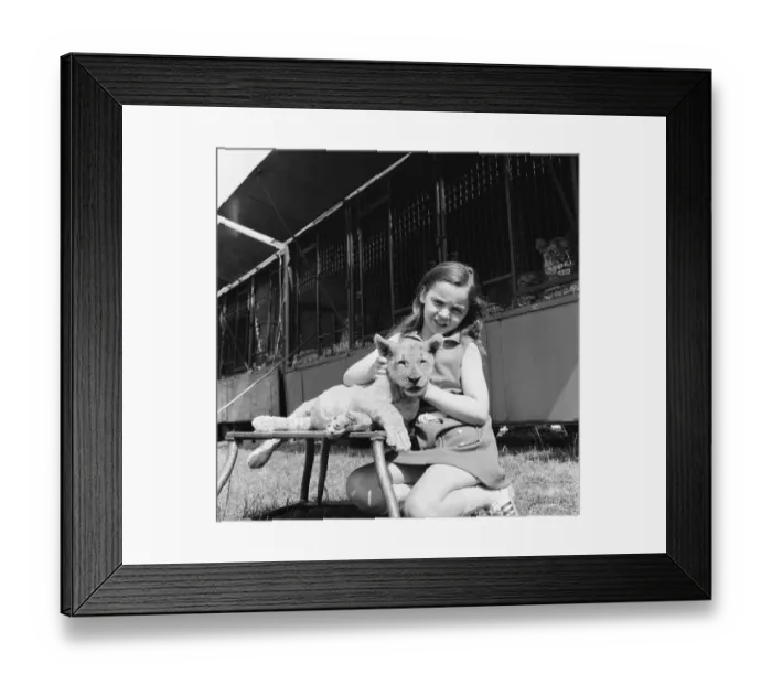 Framed Print : Young girl is a lion tamer, Teesside, Circa 1972