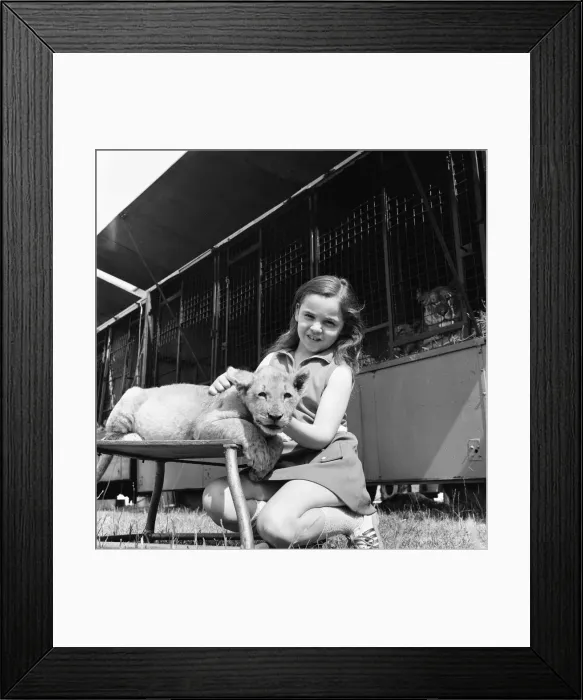 Framed Print : Young girl is a lion tamer, Teesside, Circa 1972 Framed Print : Young girl is a lion tamer, Teesside, Circa 1972