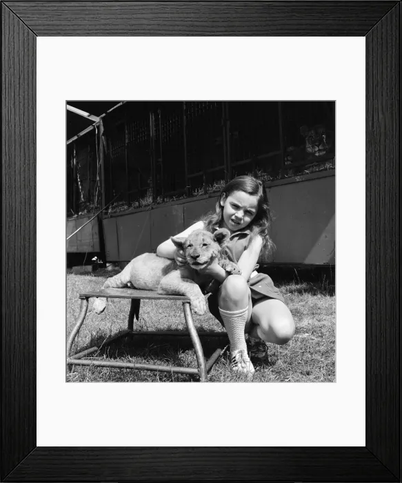 Framed Print : Young girl is a lion tamer, Teesside, Circa 1972 Framed Print : Young girl is a lion tamer, Teesside, Circa 1972