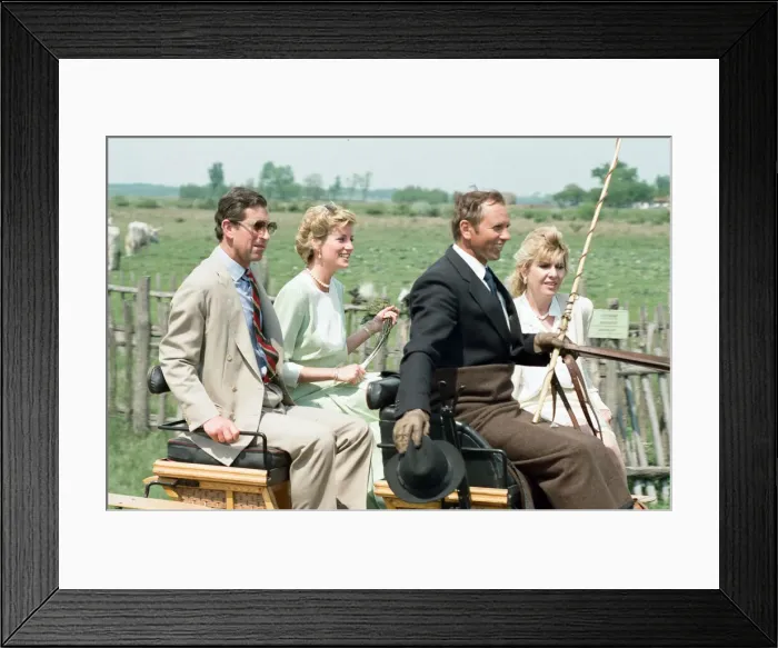 Framed Print : Charles, Prince of Wales and Diana, Princess of Wales visit Hungary. May 1990 Framed Print : Charles, Prince of Wales and Diana, Princess of Wales visit Hungary. May 1990