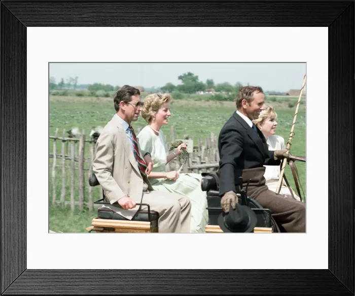 Framed Print : Charles, Prince of Wales and Diana, Princess of Wales visit Hungary. May 1990