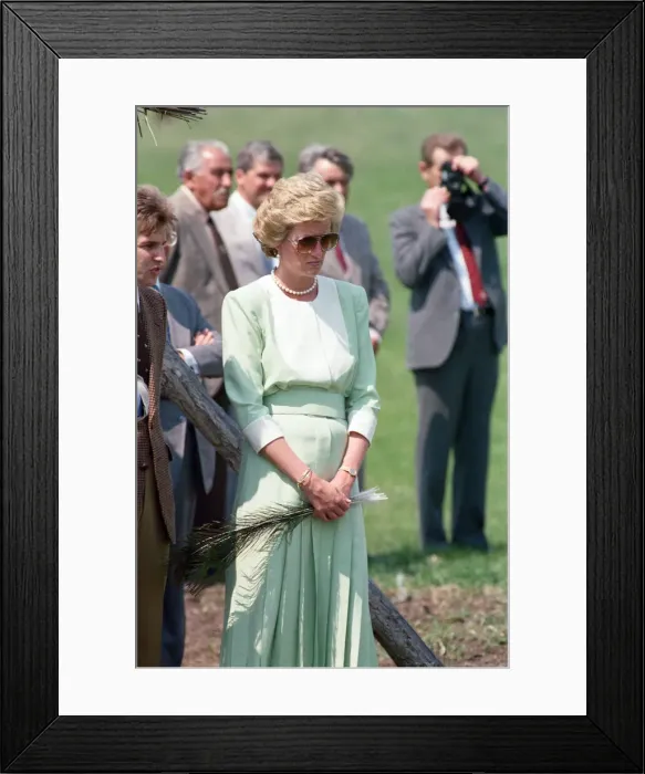 Framed Print : Diana, Princess of Wales visits Hungary. May 1990 Framed Print : Diana, Princess of Wales visits Hungary. May 1990