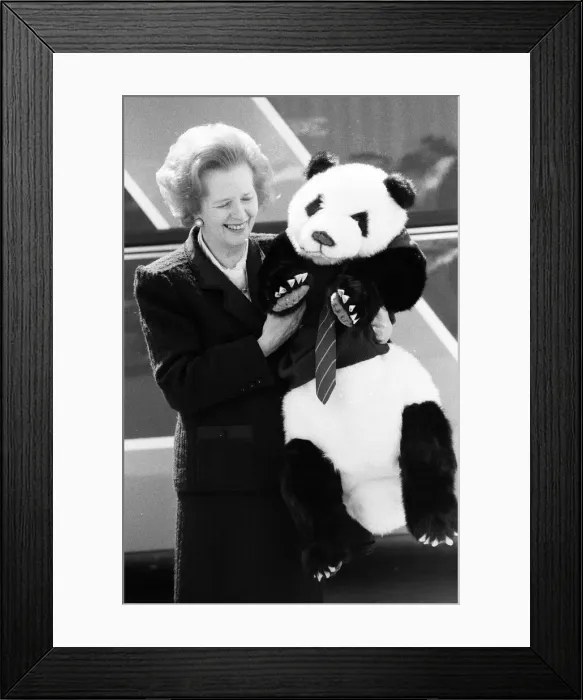 Framed Print : Prime Minister Margaret Thatcher campaigning in Ealing. 30th May 1987 Framed Print : Prime Minister Margaret Thatcher campaigning in Ealing. 30th May 1987
